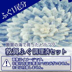 【ふるさと納税】「敦賀ふぐ調理済セット 1尾分(600g) 」加工済みの為、すぐにお召し上がりいただけます。てっちり(ふぐ鍋)、唐揚げ、薄造りなど、肉質と旨味が自慢の敦賀ふぐをお楽しみください。冷凍･･･ 画像1