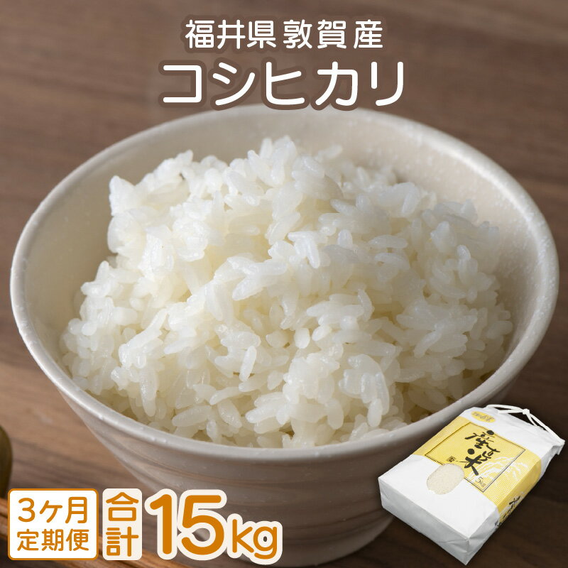 【ふるさと納税】定期便 ≪3ヶ月連続お届け≫ 敦賀産 コシヒカリ 5kg × 3回 計15kg