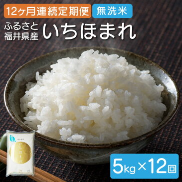【ふるさと納税】米 定期便 ≪12ヶ月連続お届け≫無洗米 ふるさと福井県産いちほまれ 5kg(計60kg)