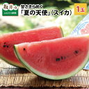 【ふるさと納税】【先行予約】甘さきらめく「夏の天使」スイカ1玉 【2025年7月中旬以降順次発送予定】【スイカ 西瓜 すいか 大玉スイカ デザート 果物 くだも...