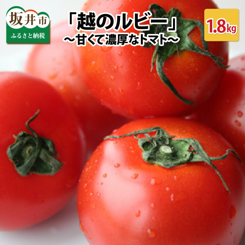 2位! 口コミ数「4件」評価「4」【先行予約】「越のルビー」 1.8kg 〜甘くて濃厚なトマトをお届けします〜【2024年6月中旬～6月下旬発送予定】