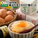 【ふるさと納税】坂井市産極上たまごかけご飯セット 〜坂井平野の恵み〜