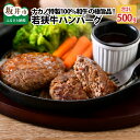 【ふるさと納税】若狭牛ハンバーグ100g 5個 ナカノ特製100％和牛の極旨品 本格派ハンバーグ 【ハンバーグ 若狭牛 国産和牛 黒毛和牛 黒毛和種 ブランド牛 和牛 肉 牛 牛肉 坂井市 福井県産 国…