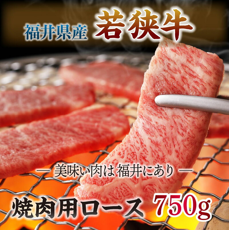 【ふるさと納税】 坂井市産 福井県産 (国産 和牛) とろける若狭牛ロース 750g ≪焼肉・ステーキ用≫ f182109-sakai-10000374 福井県坂井市 サンプル画像2