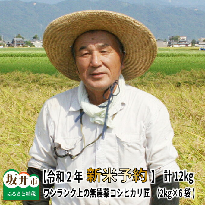 【ふるさと納税】ワンランク上の無農薬 福井県産 コシヒカリ匠 計12kg【令和2年新...