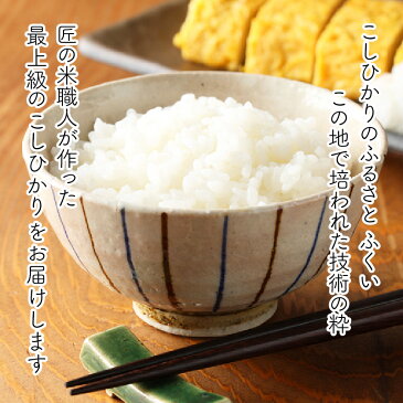 【ふるさと納税】米 12kg ワンランク上の無農薬 福井県産 コシヒカリ匠【令和2年新米受付中】