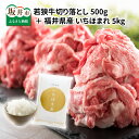 【ふるさと納税】福井県産 いちほまれ 5kg ＋ 坂井市産 福井県産 (国産 和牛)若狭牛切り落とし 500g