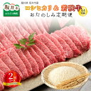 【ふるさと納税】 【定期便 2回コース】 坂井市産コシヒカリ 10kg ＋ 若狭牛A4等級焼肉用 500g