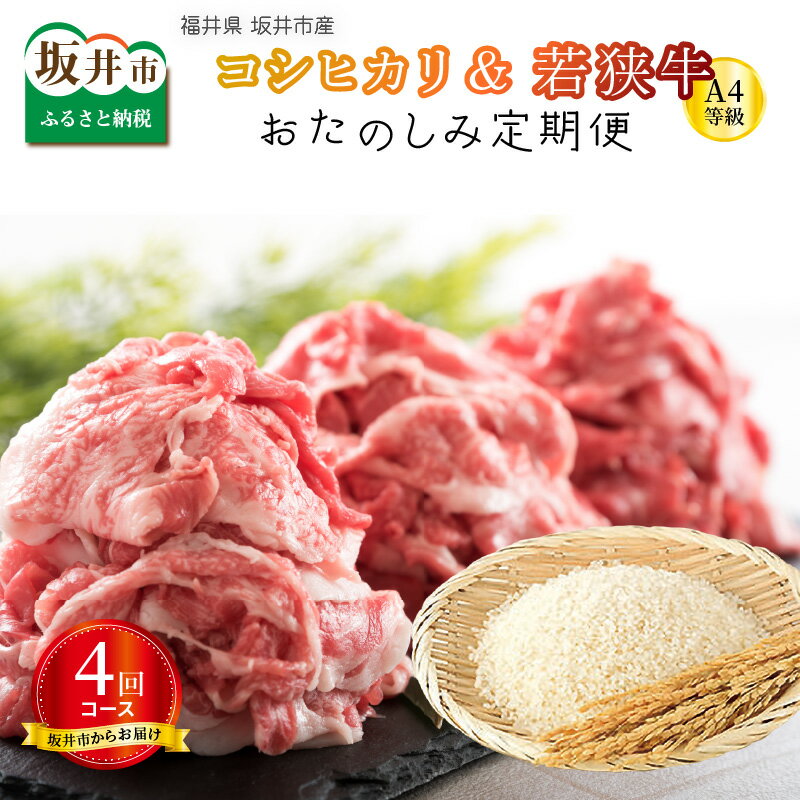 【定期便 4回コース】 福井県 坂井市産コシヒカリ 米 計20kg ＋ 坂井市産 福井県産 若狭牛切り落とし 計1kg(国産 和牛)