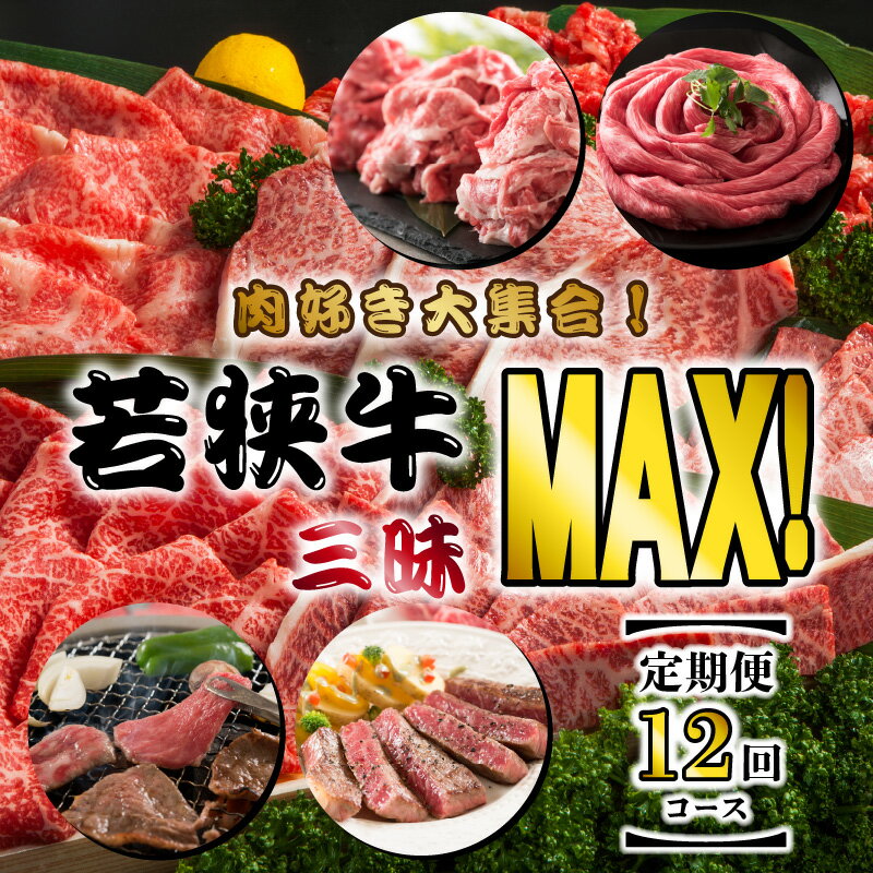 【福井県坂井市】送料無料！ 【定期便12回】 若狭牛三昧MAX!! 〜上質なにくで優勝〜　【ふるさと納税】【定期便 12回コース】 坂井市産 福井県産 肉好き大集合！若狭牛三昧MAX！！ 定期便！！ 【すき焼き しゃぶしゃぶ 1年間 】【食べ比べ 切り落とし 若狭牛 国産和牛 黒毛和牛 黒毛和種 ブランド牛 和牛 肉 牛 牛肉 ステーキ 焼肉 福井県産 国産 冷凍 人気】