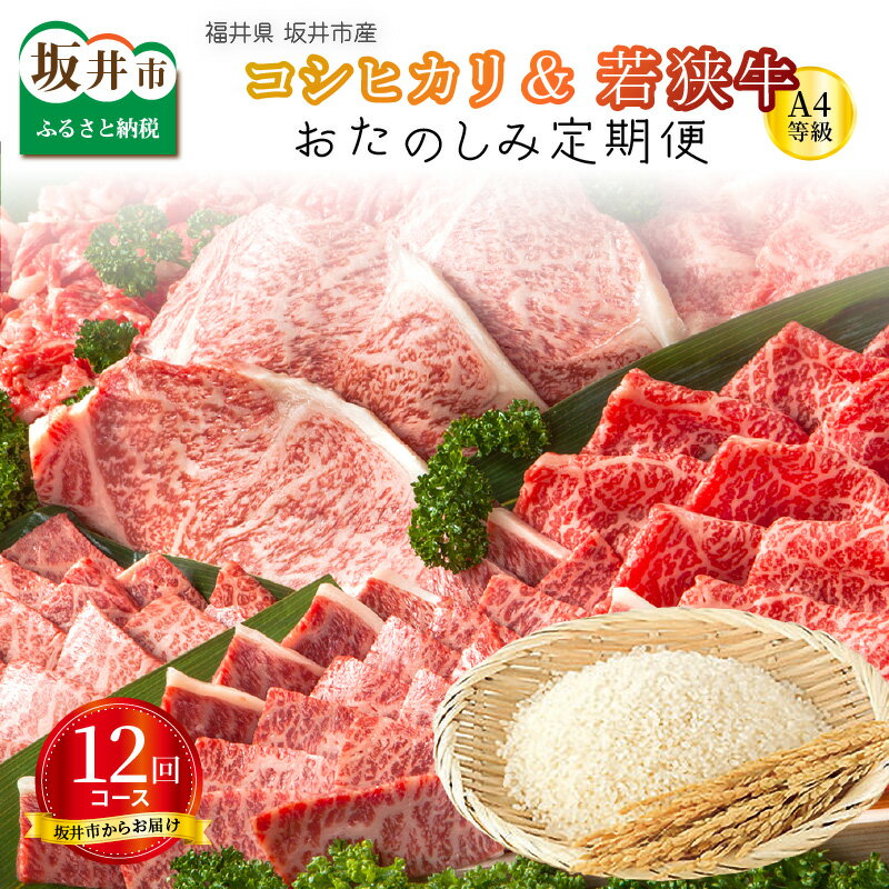 【定期便 12回コース】福井県 坂井市産コシヒカリ 計60kg ＋ 坂井市産 福井県産 若狭牛A4等級がっつり 計6kg　国産和牛のすき焼き用や焼肉用等が6回、お米は白米10kg×6回お届け♪合計12か月（1年間）坂井市で大人気の定期便です。