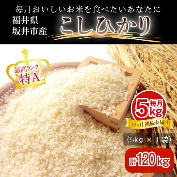 【ふるさと納税】【定期便 米24回 梅コース】 坂井市産コシヒカリ 5kg×24回 計120kg 〜驚愕のこしひかり2年分〜【限定10セット】白米でお届け　福井県産コシヒカリ