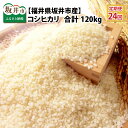 27位! 口コミ数「0件」評価「0」【定期便 米24回 梅コース】 坂井市産コシヒカリ 5kg×24回 計120kg 〜驚愕のこしひかり2年分〜【限定10セット】白米でお届け　･･･ 