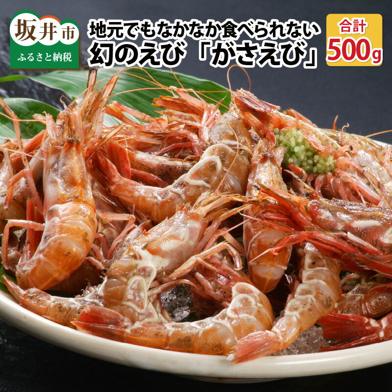 【ふるさと納税】地元でもなかなか食べられない幻のえび「がさえび」 500g/がすえび ガスエビ 越前エビ 魚介類 魚貝類 送料無料のサムネイル