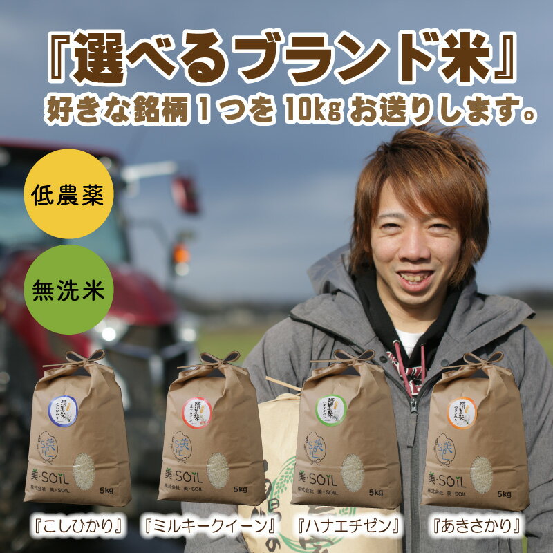 【ふるさと納税】【令和5年産】米 10kg 無洗米【低農薬】極上米 福井県産 『こしひかり』『ハナエチゼン』『ミルキークイーン』『あきさかり』の中から1種選択 健康