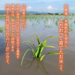 【ふるさと納税】【令和3年産米】米 10kg 無洗米【低農薬】極上米 福井県産 『こしひかり』『ハナエチゼン』『ミルキークイーン』『あきさかり』の中から1種選択 健康･･･ 画像2