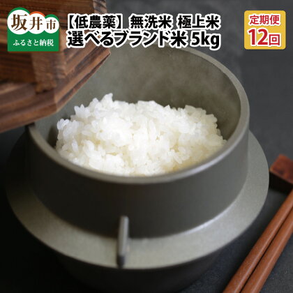 【令和5年産】定期便 米 無洗米【12ヶ月連続お届け】低農薬極上米 5kg × 12回 計60kg 福井県産『こしひかり』『ハナエチゼン』『ミルキークイーン』『あきさかり』