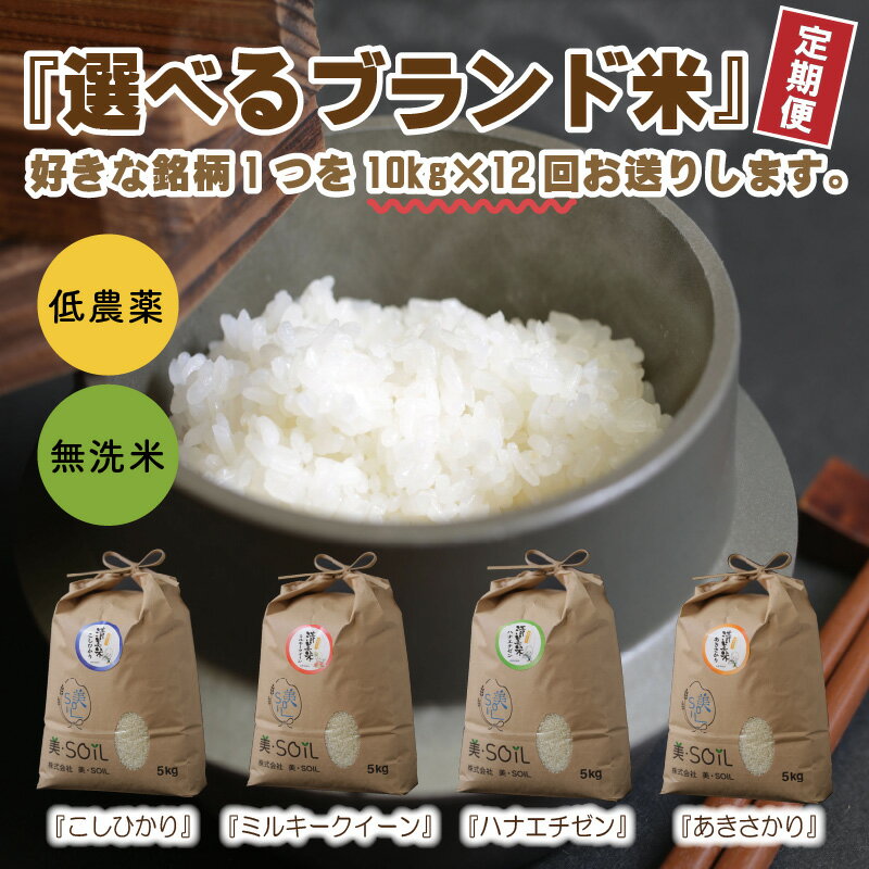 【ふるさと納税】【令和5年産】定期便 米 無洗米【12ヶ月連続お届け】低農薬極上米 10kg × 12回 計120kg 福井県産『こしひかり』『ハナエチゼン』『ミルキークイーン』『あきさかり』から1種選択