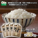 【ふるさと納税】【農家直送ふるさと便】 令和2年産コシヒカリ