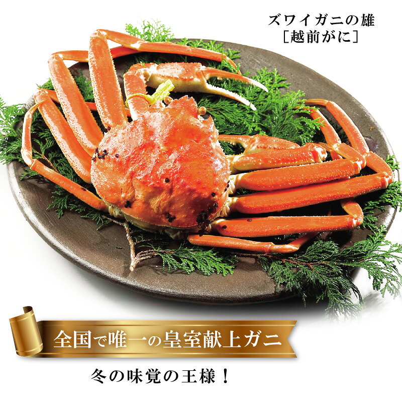 福井県越前町の画像3