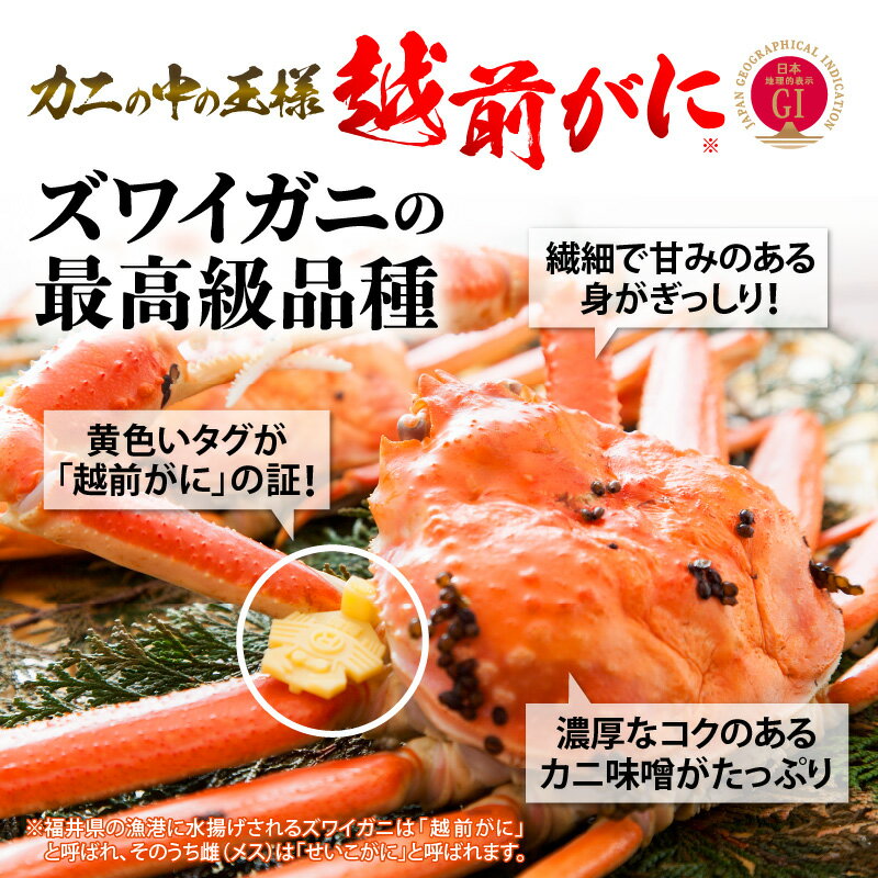 【ふるさと納税】≪浜茹で≫越前がに 特大サイズ （生で1杯約1.0〜1.1kg）食べ応え十分 食べ方しおり付き 【選べる杯数！1〜2杯】【雄 ズワイガニ 越前ガニ 姿 ボイル 冷蔵 かに カニ 蟹 福井県】【1月発送分】希望日指定可 備考欄に希望日をご記入ください