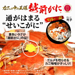 【ふるさと納税】産地直送！越前せいこ蟹 甲羅盛り「身出し」5杯 鮮度にこだわり「冷蔵」発送！【雌 ズワイガニ】【越前がに せいこがに セイコガニ ボイル むき身 かに カニ 蟹 福井県】【12月発送分】希望日指定可 備考欄に電話番号をご記入ください [e49-x005_12]･･･ 画像2