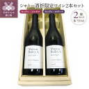 【ふるさと納税】 ワイン 山梨 限定 赤ワイン チームキスヴィン 720ml 2本セット 飲み比べ お酒 ギフト 贈り物 k001-137 送料無料