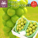 【ふるさと納税】 シャインマスカット 山梨 生産量日本一 甲府市産 2房（1kg以上） 【2022年9月中旬～10月中旬順次発送】 k212-004