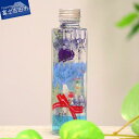 【ふるさと納税】 花 ギフト 母の日 女性 かわいい ハーバリウム カーネーション 青 プリザーブドフラワー 送料無料 5000円 5000