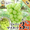 【ふるさと納税】 シャインマスカット 2022 山梨県 予約 2kg超え 3kg 山梨 フルーツ 果物 ブドウ 先行予約 富士吉田