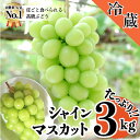 【ふるさと納税】 シャインマスカット 2kg超え3kg 山梨...