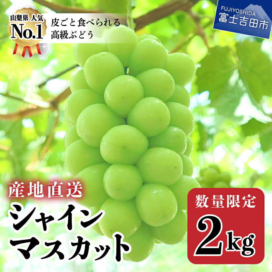 果物 フルーツ ふるさと納税の返礼品一覧 人気順 21年 ふるさと納税ガイド 果物 フルーツ ふるさと納税の返礼品一覧 人気順 21年 ふるさと納税ガイド