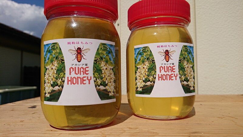 【ふるさと納税】ハチミツ 天然 アカシヤ ハチミツセット 2本 計1kg 蜂蜜 大自然の恵み 爽やかな甘さ 健康食品
