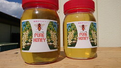 【ふるさと納税】ハチミツ 天然 アカシヤ ハチミツセット 500g×2 蜂蜜 大自然の恵み 爽やかな甘さ 送料無料 画像1