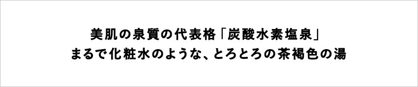 【ふるさと納税】白馬山麓・白馬乗鞍高原にあるリゾートホテル、「白馬アルプスホテル」に泊まる！小谷村宿泊券10,000円分 | 旅行券 チケット 小谷村 ふるさと納税