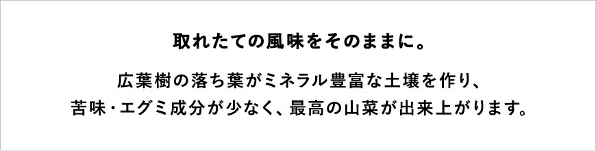 【ふるさと納税】小谷の四季（山菜漬物セット）| 各種300g×4袋 小谷漬 醤油漬け きゃらぶき ピリ辛漬け 山うど 山ウド 沢あざみ こごみ ふき 詰め合わせ 漬物 漬けもの つけもの 信州産 国産 小谷村 ふるさと納税