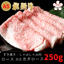 飛騨牛 【ふるさと納税】A5飛騨牛　すき焼き・しゃぶしゃぶ用　ロース又はカタロース　250g