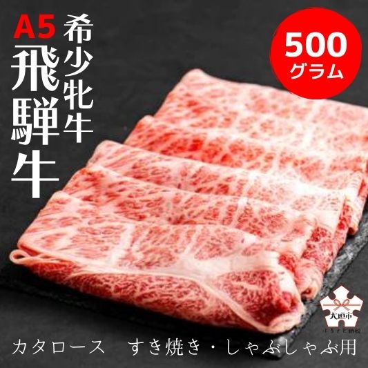 飛騨牛 【ふるさと納税】飛騨牛 メス牛 最高A5等級 カタロース すき焼き・しゃぶしゃぶ用 500g 国産 黒毛和牛 牝牛 ギフト ひだうし ひだぎゅう