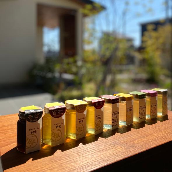 【ふるさと納税】国産蜂蜜グラデーションhoney（9種類 各1本） はちみつ なのはな れんげ もち とち 百花 アカシヤ 大雪山 そば 白花豆