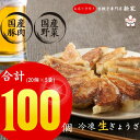 【ふるさと納税】生餃子専門店「新家」の生餃子　元気がモリモリ100個セット　冷凍餃子　簡単調理　国内産材料使用 点心 小分け 水餃子