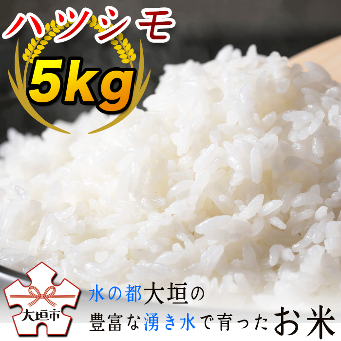 【ふるさと納税】≪令和5年度産≫ハツシモ5kg　〜水の都大垣