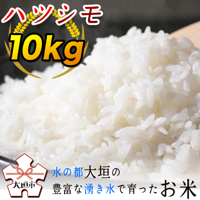 【ふるさと納税】≪令和5年度産≫ハツシモ10kg　〜水の都大