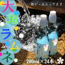 2位! 口コミ数「2件」評価「2.5」大垣ラムネ（200ml×24本）自噴水を使用 炭酸飲料 ガラス瓶 ビー玉 子供会 縁日 お祭り