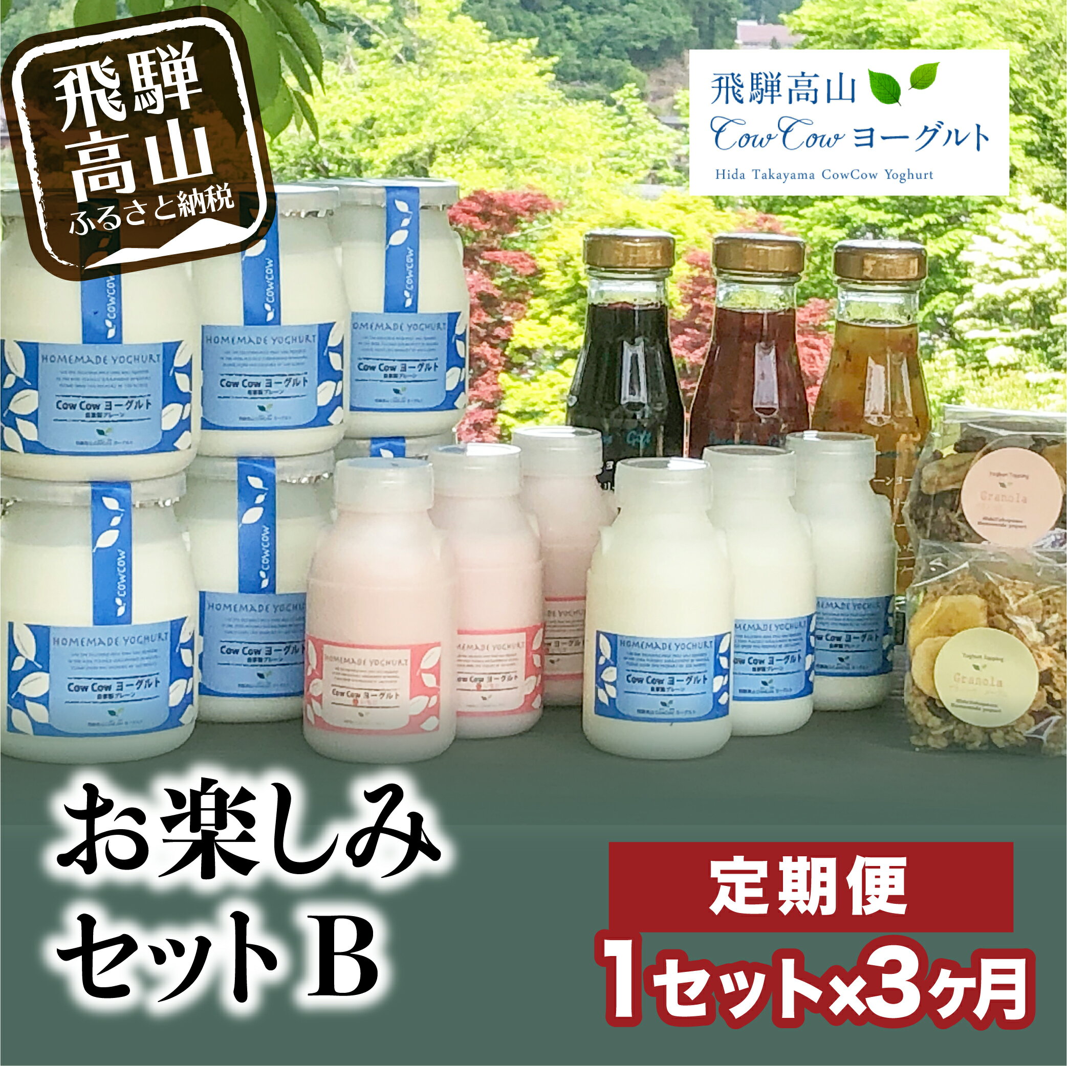 【ふるさと納税】飛騨高山CowCowヨーグルト3ヶ月お楽しみセットB 定期便 乳製品 フルーツソース 飲むヨーグルト グラノーラ 焼き菓子 [e518] 90000円