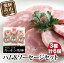 【ふるさと納税】 キッチン飛騨 飛騨ハム ソーセージ セット にも 飛騨高山 の 飛騨牛専門店 b512 11,000円