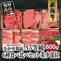 【ふるさと納税】飛騨牛 6種食べ比べ セット 600g(100g×6） 希少部位 A5等級 牛肉 肉 個包装 飛騨高山 c536