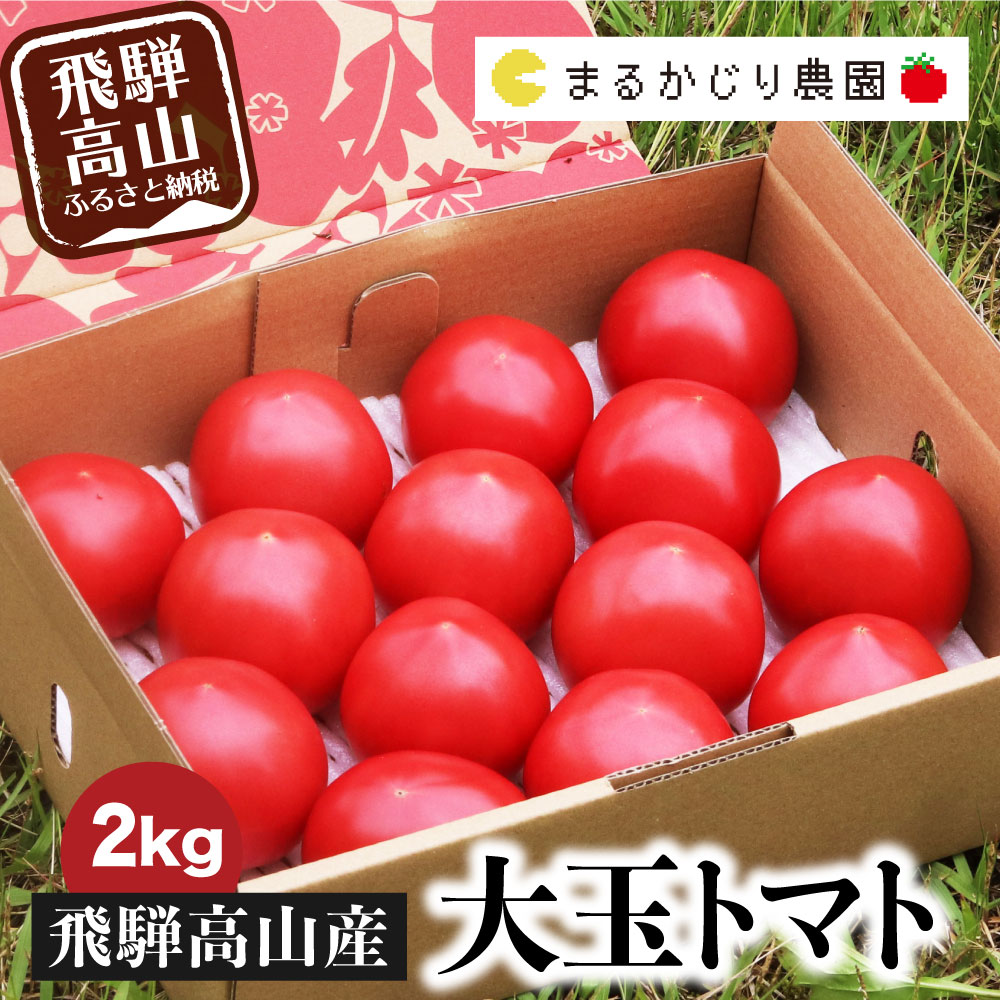 2400円 贅沢 ふるさと納税 先行予約 飛騨トマト 約4kg 15 28