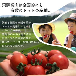 【ふるさと納税】採れたて　トマト　採れたて野菜　新鮮野菜　野菜　期間限定　飛騨高山　TR3185 10000円 画像2