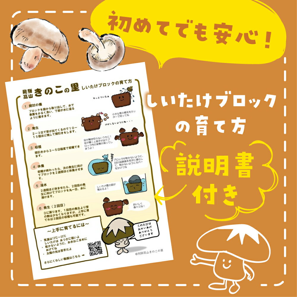 【ふるさと納税】菌床椎茸栽培キット しいたけ シイタケ 椎茸 栽培キット 栽培 菌床 椎茸菌 採れたて とれたて 夏休み 自由研究 園芸 食育 a690