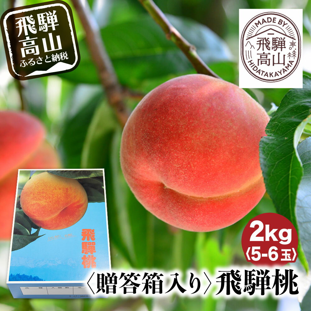 【ふるさと納税】桃 飛騨もも 2kg 5〜6玉入り もも モモ 飛騨高山 糖度 甘い 2キロ 果物 白鳳 昭和白桃 など 夏 ギフト 箱入りくだもの お取り寄せ 13000円 b714のサムネイル